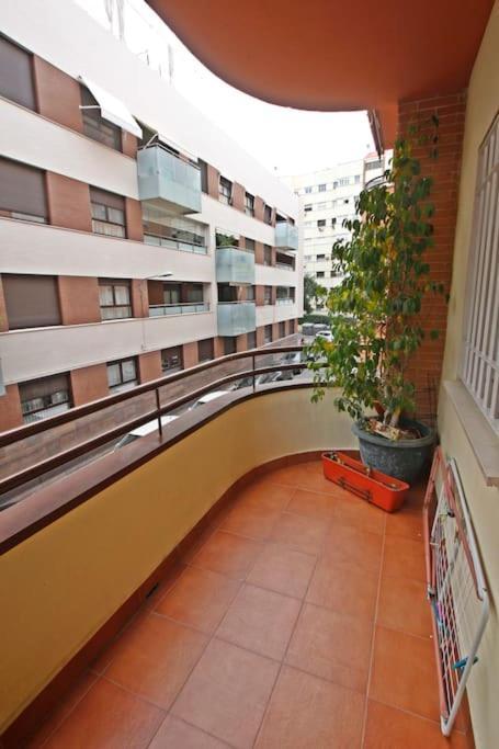 Sevilla Clasica: Amigos Y Familia. Parking Gratis! Exterior photo
